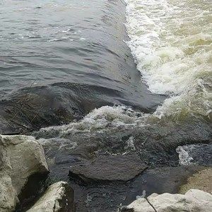 Meet your Posher, Gordon